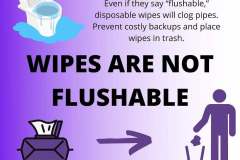 Toilet-wipes-not-flushable